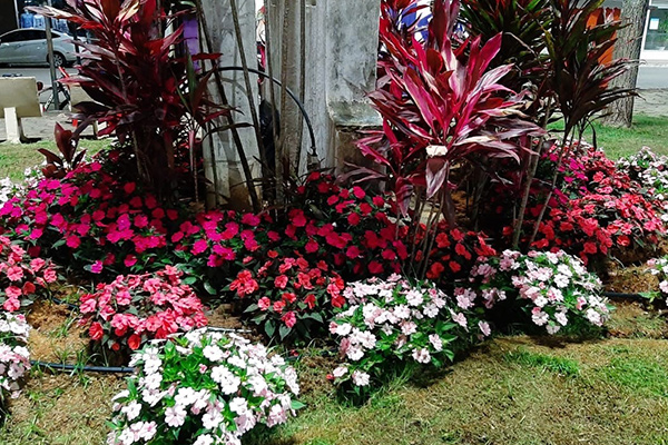 Jardinagem e Paisagismo 6