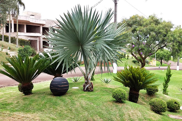 Jardinagem e Paisagismo 8
